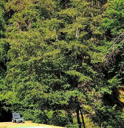 Villaggio Barilari Minucciano