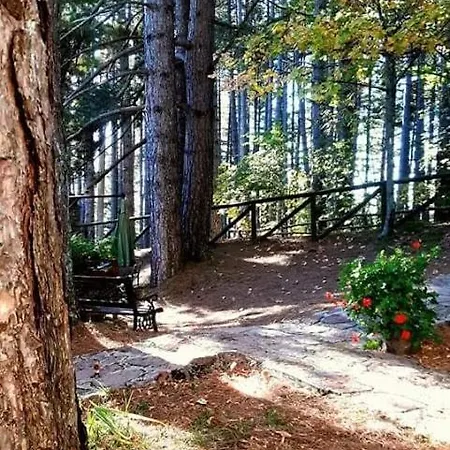 Villaggio Barilari * Minucciano